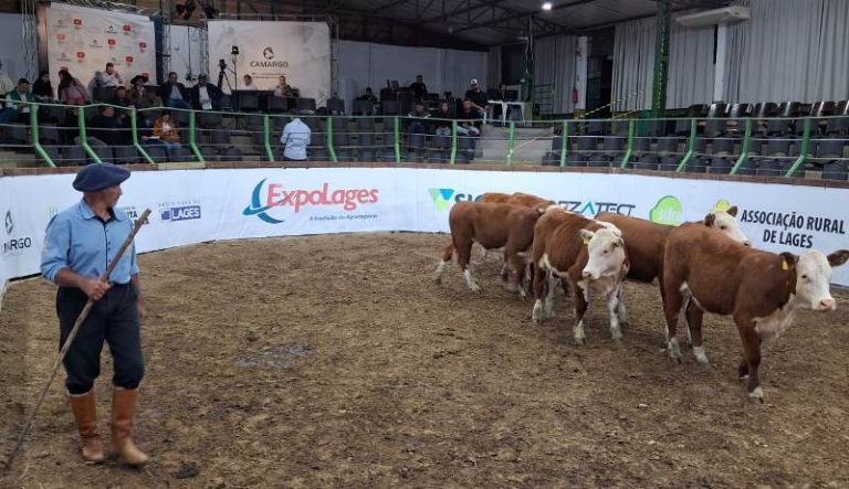 2º Leilão Agro do Bem em prol do Hospital Infantil