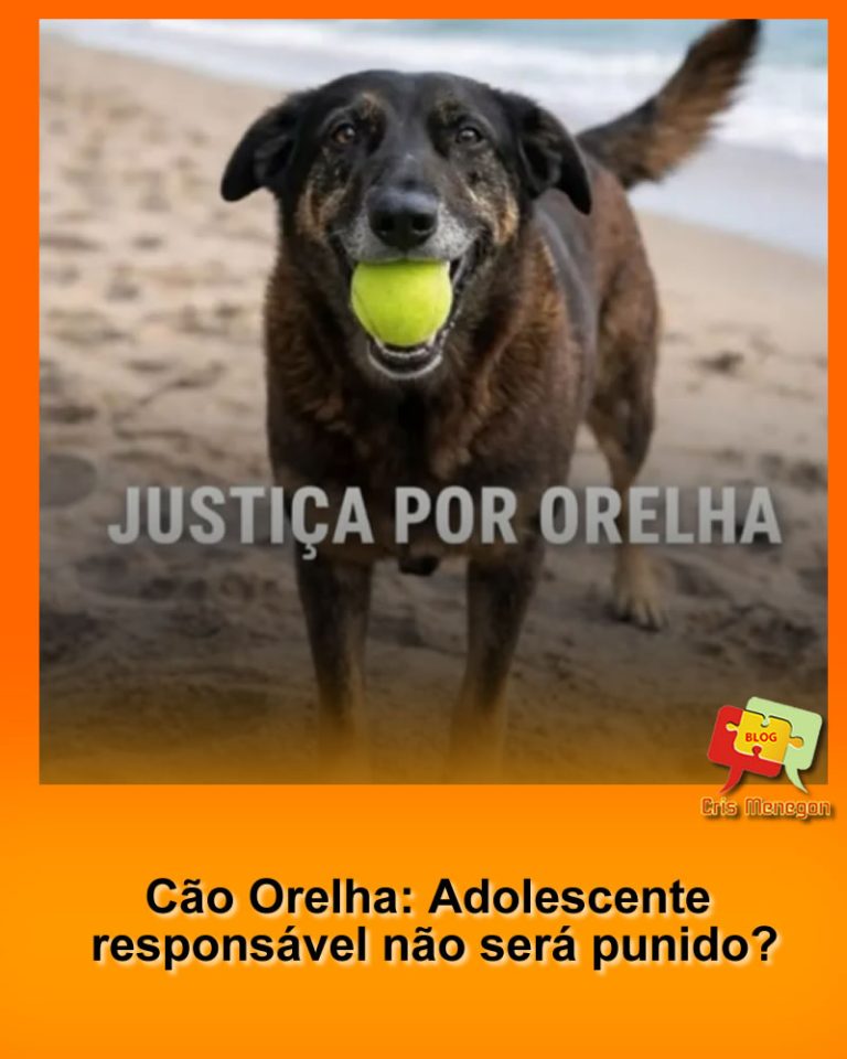 Cão Orelha: Adolescente responsável não será punido?